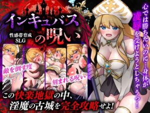 性感帯育成SLG インキュバスの呪い