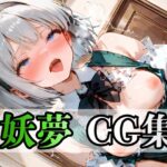 いろんな 妖夢 CG集400枚