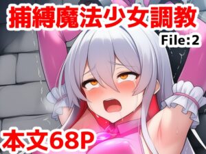 捕縛魔法少女調教File:2～捕まった魔法少女がイキ地獄調教で悪堕ちする話