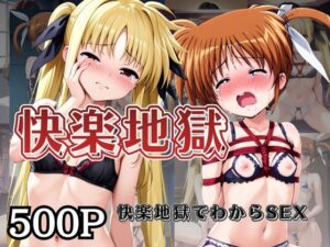 快楽地獄でわからSEXされる高○なのは&フ○イト～催○でされるがままのヒロイン～