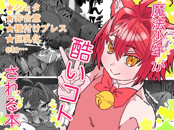 魔法少年が酷いコトされる本