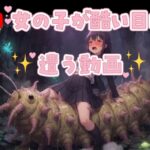 女の子が酷い目に遭う動画(1)