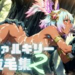 ヴァルキリー腋毛集2