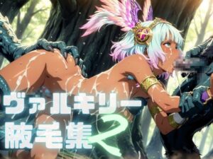 ヴァルキリー腋毛集2