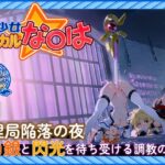 【魔法少女リリカルな○は】【高町な○は/フェ○ト500枚/3mp4】管理局陥落の夜～白銀と閃光を待ち受ける調教の宴～(セリフあり120枚以上)